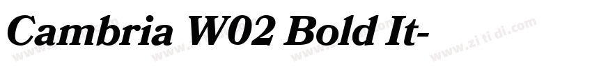 Cambria W02 Bold It字体转换